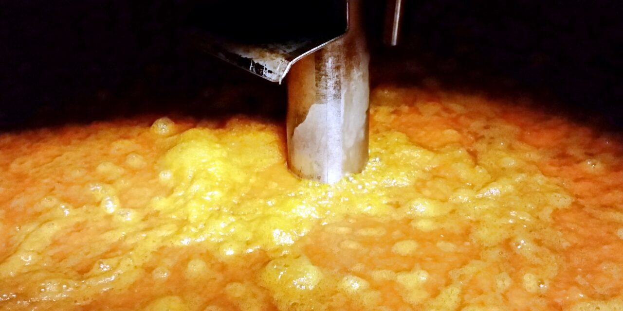 Vendemmia 2019: per la Barbera d’Asti DOCG un’ annata di alta qualità. Produzione in calo