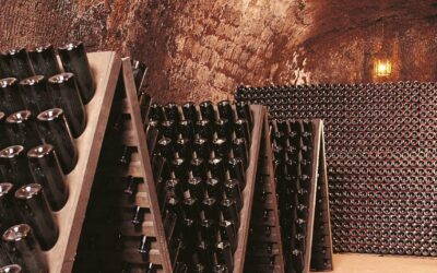 Spumanti italiani, più 1,8%: superato il miliardo di bottiglie prodotte. Nei consumi crolla lo Champagne in Italia, meno 8%