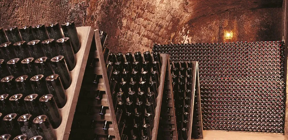 Caputo 1890 degustazione