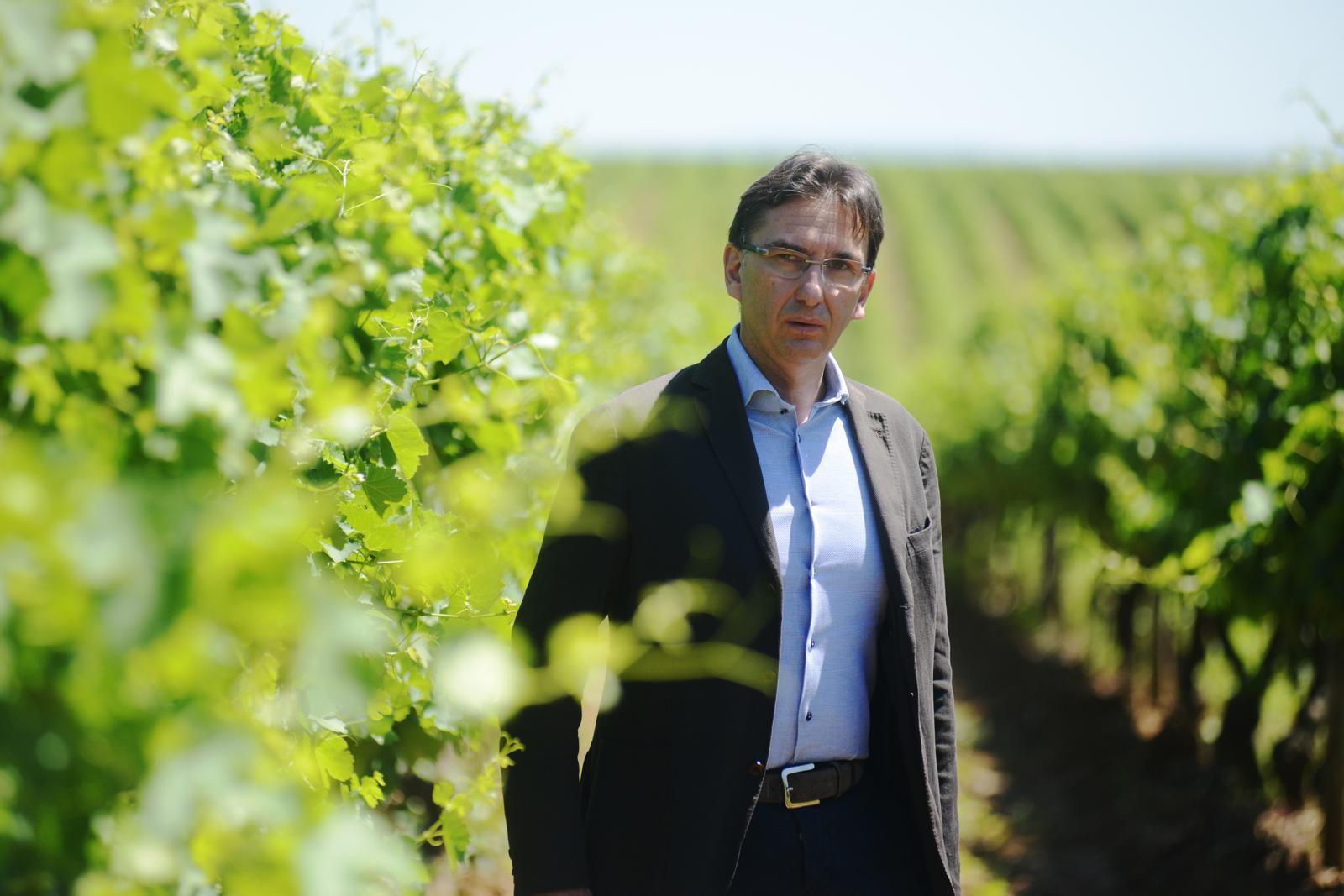 Christian Scrinzi è il nuovo DG di Collis Veneto Wine Group
