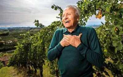 Angelo Gaja: alcol nel vino, demonizzazione frutto di scarsa conoscenza