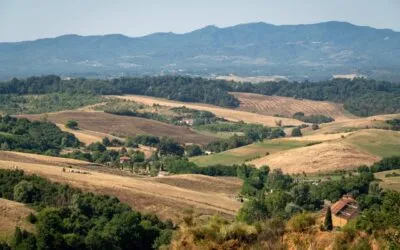 Valdarno di Sopra Day: secondo appuntamento con l’anteprima dei vini valdarnesi e questi sono i nostri “magnifici cinque”