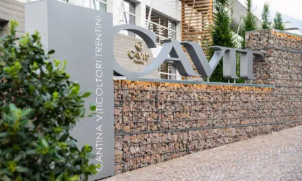 Cavit raggiunge i 75 anni di attività per il vino trentino; export al 76%