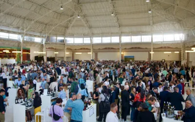 Meno folla, più contenuti: le masterclass e gli incontri al centro di Best Wine Stars 2025