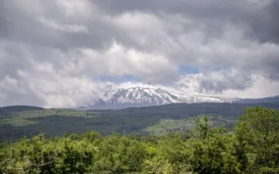 Carricante e Nerello Mascalese, ecco i primi vini della Tenuta Ammura (Tommasi) sull’Etna