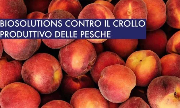 Biosolutions in aiuto delle Pesche. In 20 anni dimezzata la superficie di coltivazione.