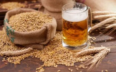 Assobirra, nel 2024 l’Italia ha confermato la sua produzione brassicola a 17 milioni di ettolitri. Consumi leggermente in calo
