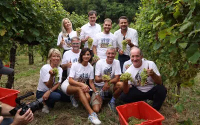 ®Vendemmia Solidale a Le Manzane: oltre 17 mila euro per combattere il disagio giovanile