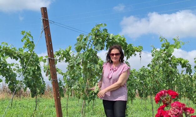 Alberi in Piano Aglianico del Vulture 2013: la degustazione