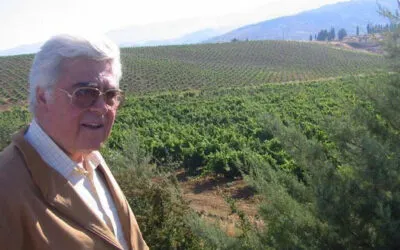  Château Kefraya, la vendemmia del cuore nella valle della Bekaa (Libano)