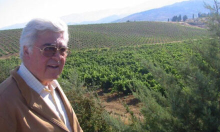  Château Kefraya, la vendemmia del cuore nella valle della Bekaa (Libano)