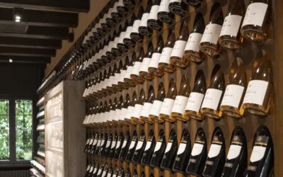 Pinot Grigio 2023 Tenute Tomasella: la degustazione