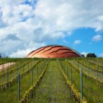 Il Carapace, un vino che ti porta dentro un’opera d’arte