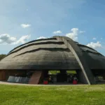 Il Carapace, un vino che ti porta dentro un’opera d’arte