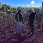 I Vigneri, l’Etna immortale di Salvo Foti