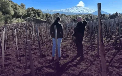 I Vigneri, l’Etna immortale di Salvo Foti