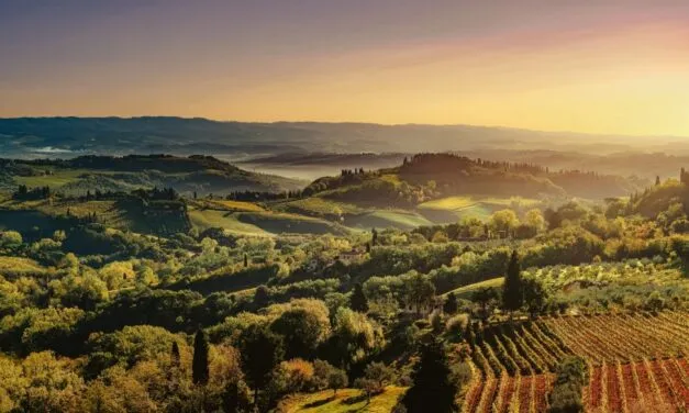 Il Chianti impallidisce di fronte al mercato e dal 2026 diventerà rosè.