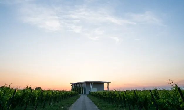 VentiVenti Pignoletto Blanc de Blancs e Lambrusco Rosé metodo classico: la degustazione