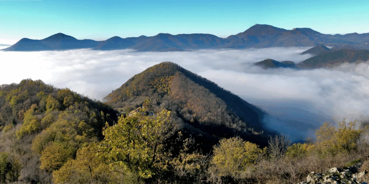 Colli Euganei DOC, i bordolesi patavini ora valorizzano il territorio