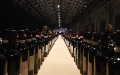 Chianti Classico, un millesimo 2024  “gastronomico”