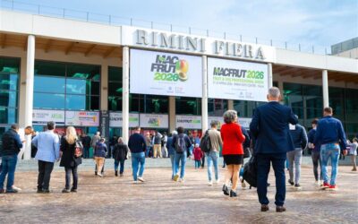 Dopo un sofferto Vinitaly, a Macfrut, l'”altra” agricoltura, vola con export a +13%.
