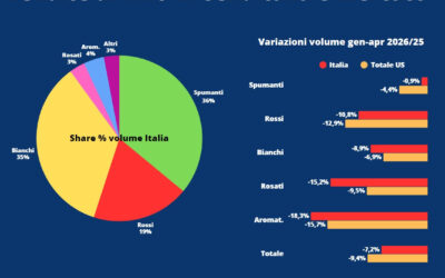 Export a meno 11%: il vino italiano si aggrappa a Russia, Cina, Brasile e Messico.