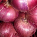 Cipolla della Val Cosa: dal 2006 un Presidio Slow Food da scoprire in Friuli Venezia Giulia