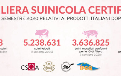 Filiera suina italiana, la tracciabilità adesso si vede (e si può controllare)