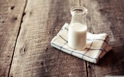 Veneto Agricoltura, cresce la produzione di latte biologico e sale al 3,5% dei nostri allevamenti