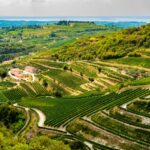 Valpolicella Patrimonio Unesco. Si avvia a conclusione la fase 1 del dossier. Ne parla il Direttore Matteo Tedeschi.