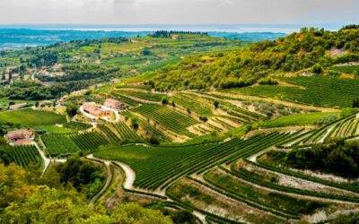 Valpolicella Patrimonio Unesco. Si avvia a conclusione la fase 1 del dossier. Ne parla il Direttore Matteo Tedeschi.