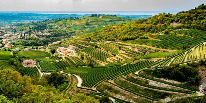 Valpolicella Patrimonio Unesco. Si avvia a conclusione la fase 1 del dossier. Ne parla il Direttore Matteo Tedeschi.