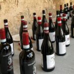 Nero d’Avola, cinque interpretazioni da portare in tavola questo autunno: la degustazione