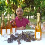 di Filippo “Estasi in Armonia” Moscato passito di Trani Doc metodo classico Pas Dosé 2017. La degustazione