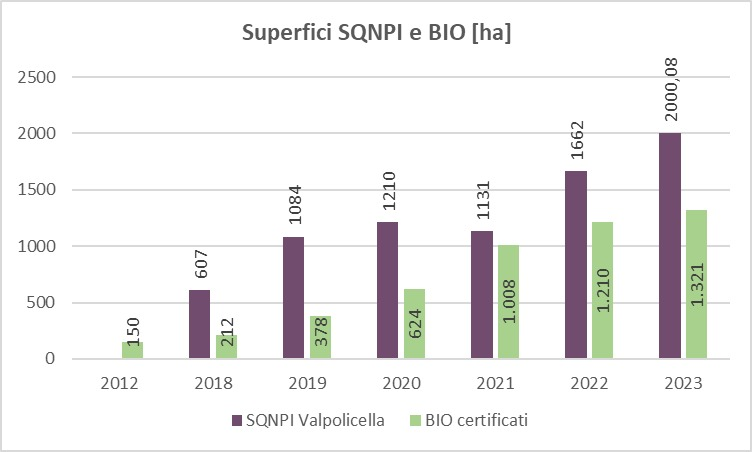 Valpolicella, 3.300 ettari bio o certificati sostenibili: il 20% in più rispetto al 2022