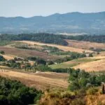 Valdarno di Sopra Day: secondo appuntamento con l’anteprima dei vini valdarnesi e questi sono i nostri “magnifici cinque”