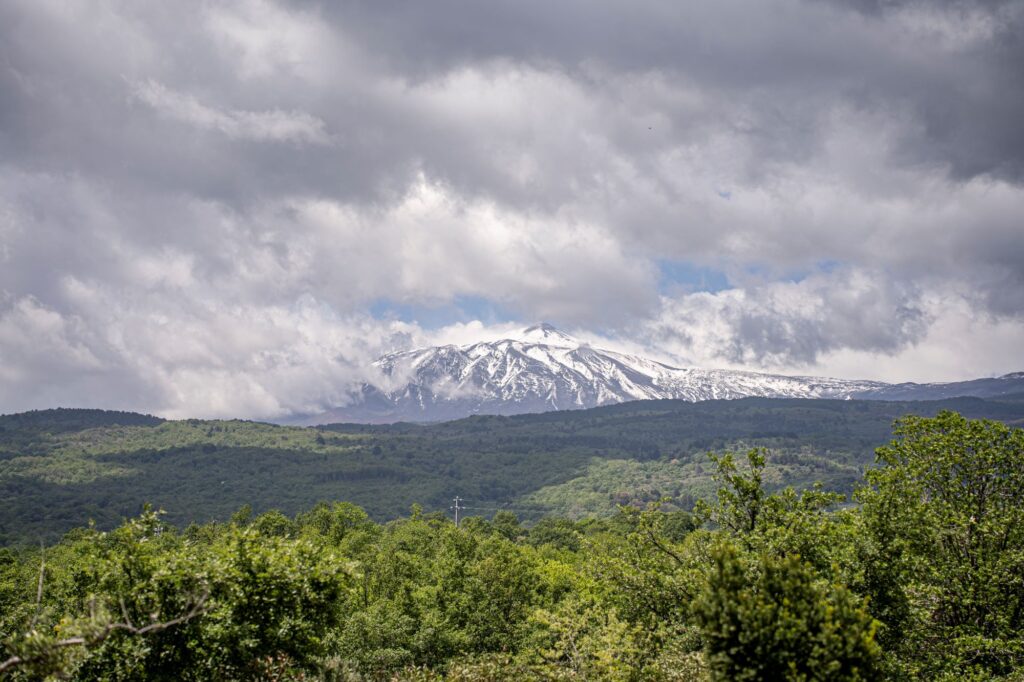 Ammura (Tommasi)