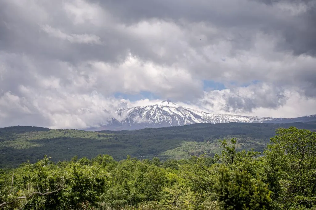 Ammura (Tommasi)