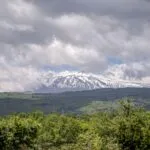 Ammura (Tommasi)