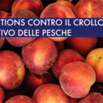 biosolutions