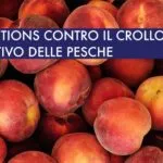biosolutions