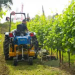 enovitis 2025