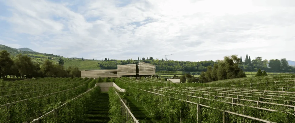 Masi Monteleone 21