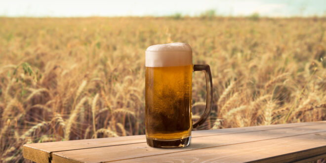 Birra agricola