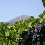 Campania Stories 2025