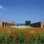 Cirò DOCG