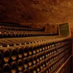 Cava DOC vendite 2024