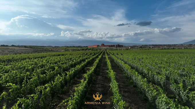 Armenia