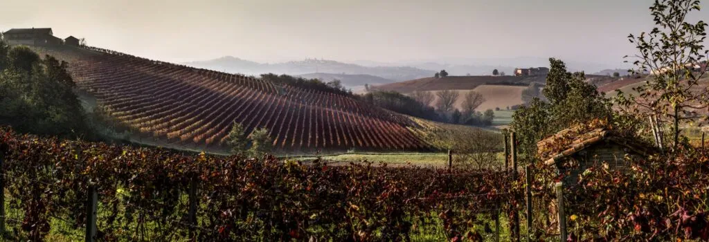 Cantine Coppo