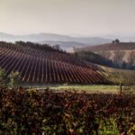 Cantine Coppo